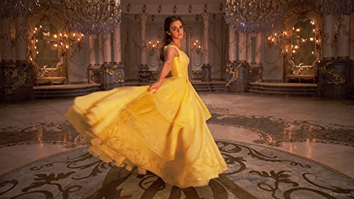 17年に観た映画 おすすめランキングベスト３０ Digihows Com